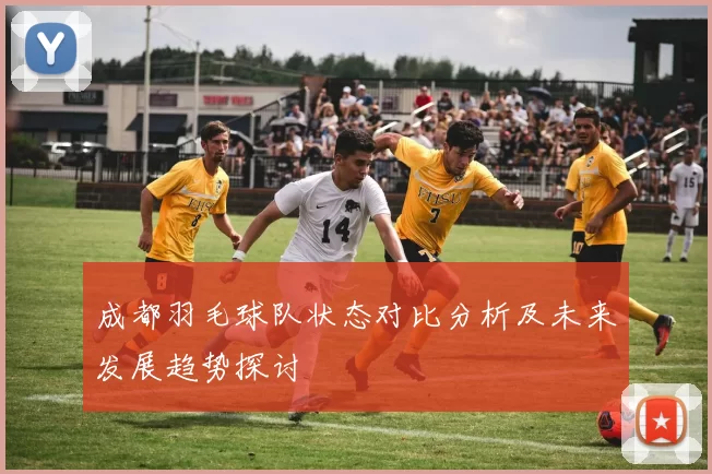 成都羽毛球队状态对比分析及未来发展趋势探讨