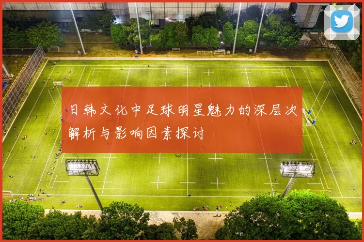 日韩文化中足球明星魅力的深层次解析与影响因素探讨
