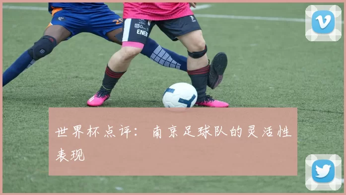 世界杯点评：南京足球队的灵活性表现