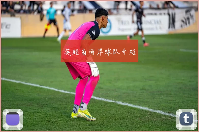 英超南海岸球队介绍