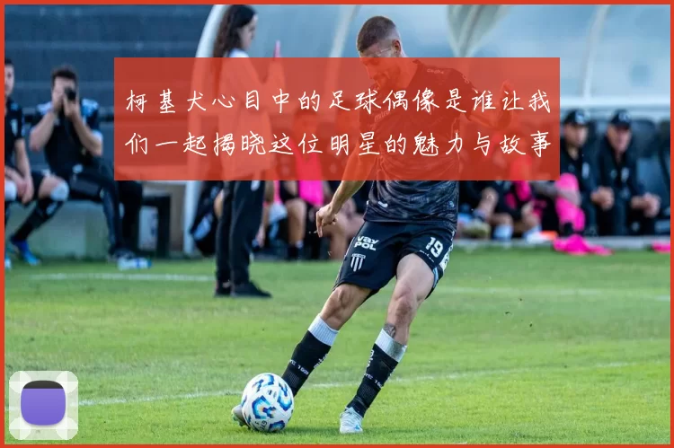 柯基犬心目中的足球偶像是谁让我们一起揭晓这位明星的魅力与故事