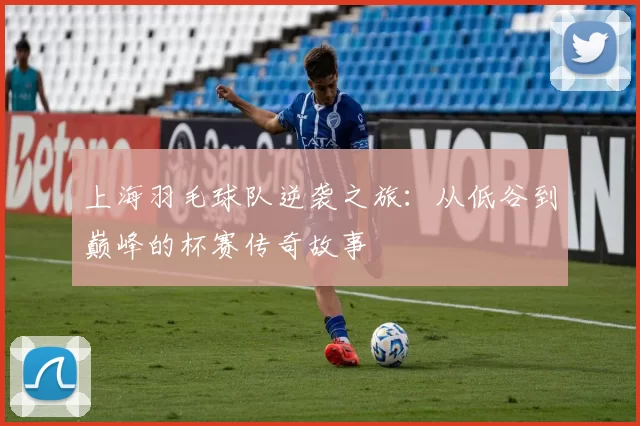 上海羽毛球队逆袭之旅：从低谷到巅峰的杯赛传奇故事