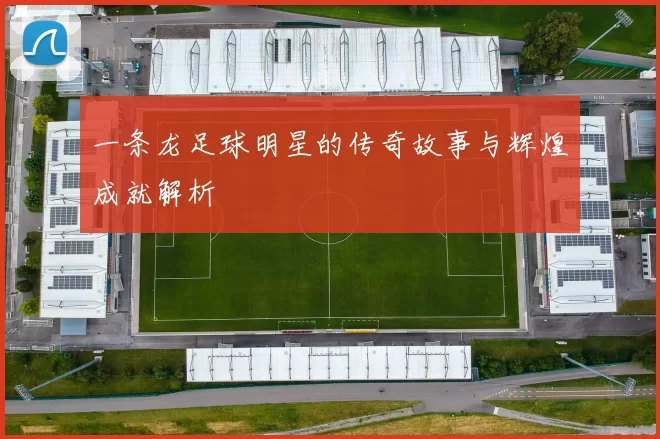 一条龙足球明星的传奇故事与辉煌成就解析