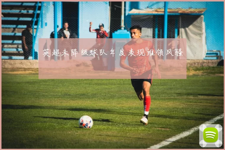 英超未降级球队年度表现谁领风骚
