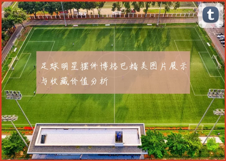 足球明星摆件博格巴精美图片展示与收藏价值分析