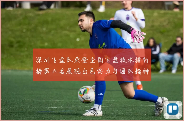深圳飞盘队荣登全国飞盘技术排行榜第六名展现出色实力与团队精神