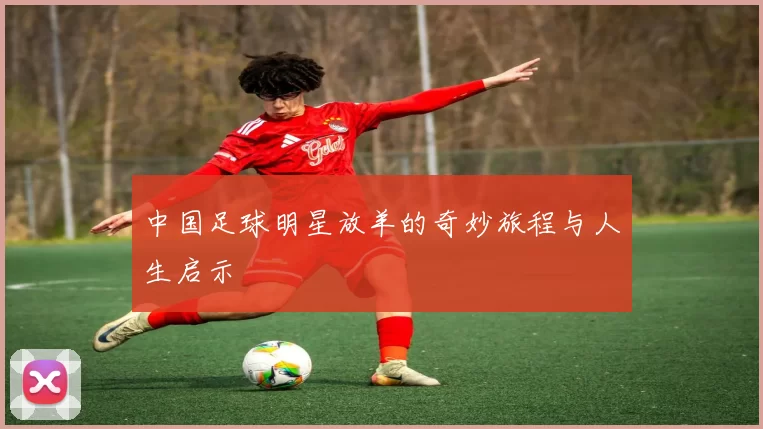 中国足球明星放羊的奇妙旅程与人生启示