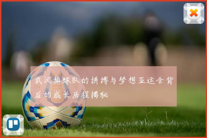 武汉排球队的拼搏与梦想亚运会背后的成长历程揭秘
