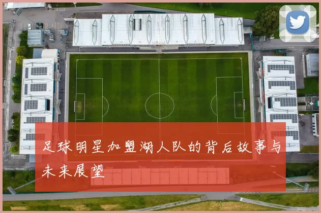 足球明星加盟湖人队的背后故事与未来展望
