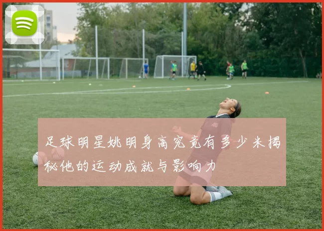 足球明星姚明身高究竟有多少米揭秘他的运动成就与影响力