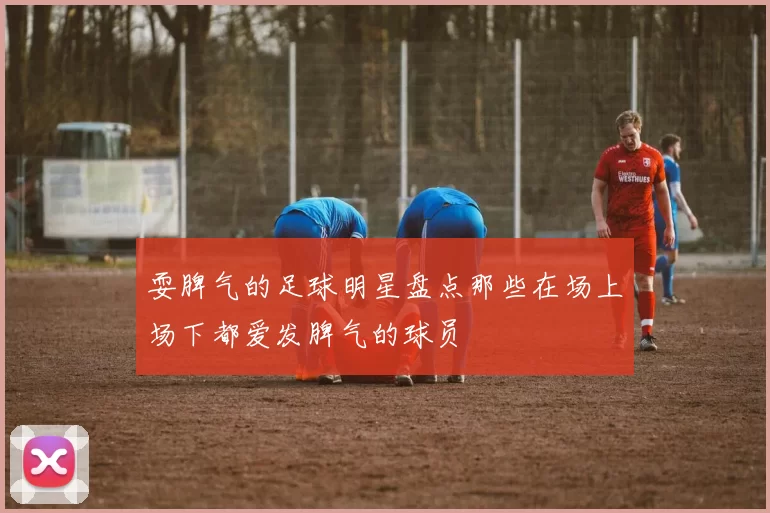 耍脾气的足球明星盘点那些在场上场下都爱发脾气的球员