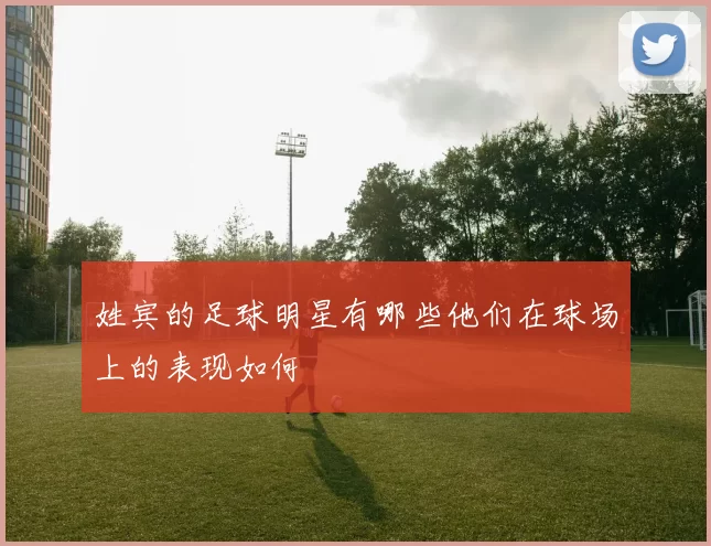 姓宾的足球明星有哪些他们在球场上的表现如何