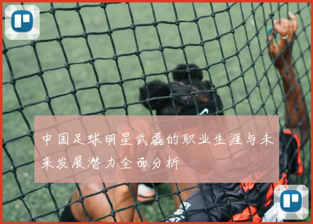 中国足球明星武磊的职业生涯与未来发展潜力全面分析
