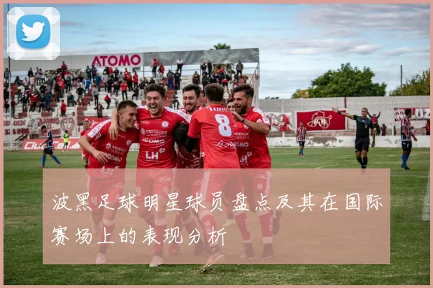 波黑足球明星球员盘点及其在国际赛场上的表现分析