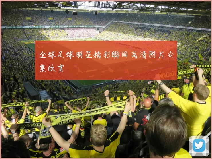 全球足球明星精彩瞬间高清图片合集欣赏