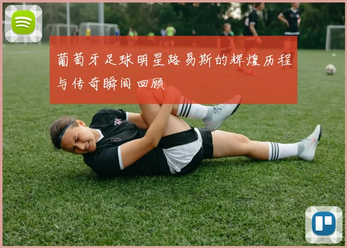 葡萄牙足球明星路易斯的辉煌历程与传奇瞬间回顾