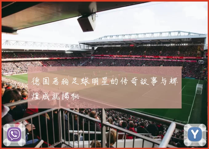 德国恶狗足球明星的传奇故事与辉煌成就揭秘