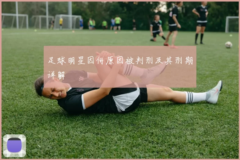 足球明星因何原因被判刑及其刑期详解
