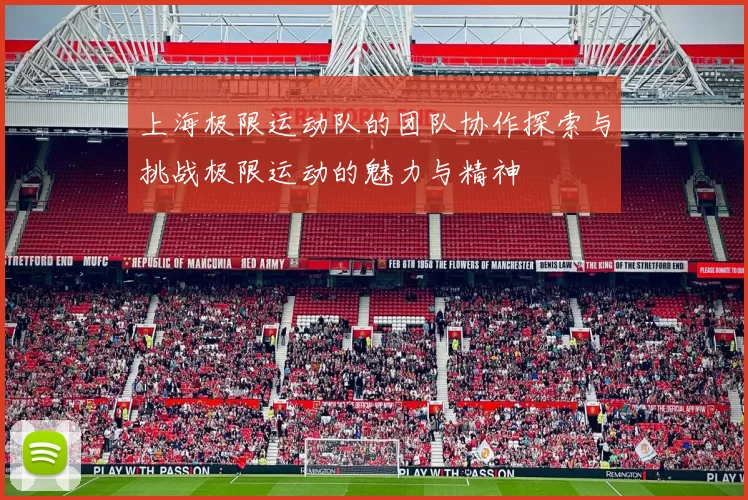 上海极限运动队的团队协作探索与挑战极限运动的魅力与精神
