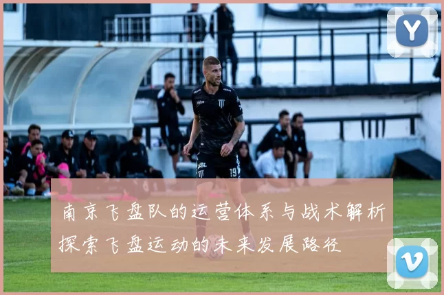 南京飞盘队的运营体系与战术解析探索飞盘运动的未来发展路径